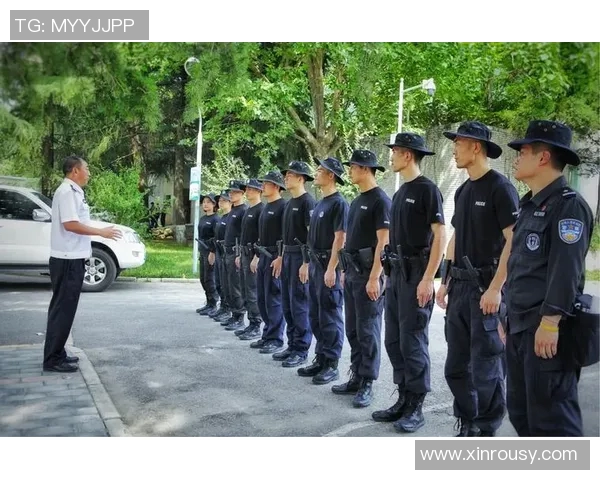 西安飞盘队的成功运营模式与发展策略全解析